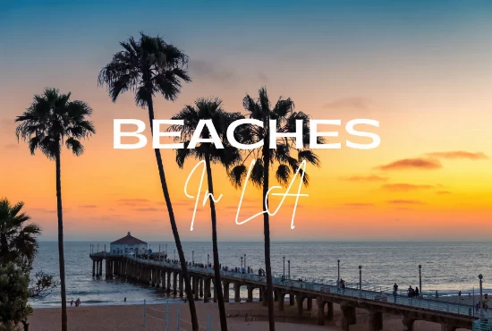Beaches In LA